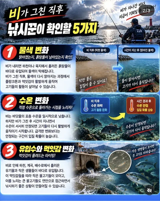 비가 그친 직후 확인할 것 1~3 카드뉴스 그림