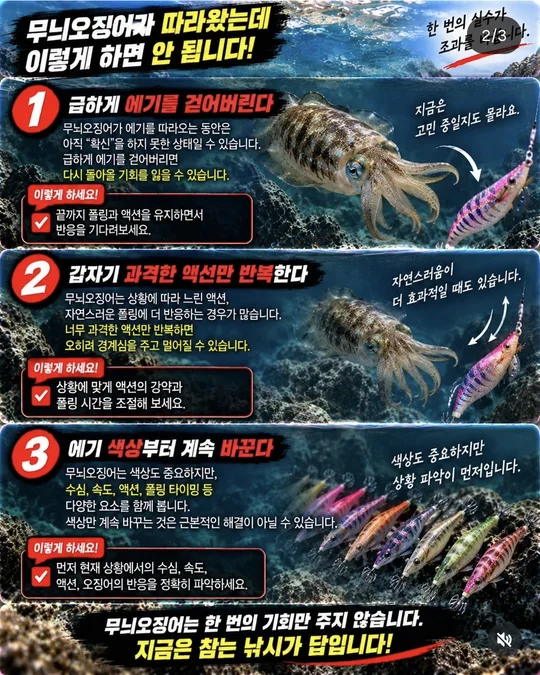 무늬오징어가 따라왔을 때 하지 말 것 1~3 카드뉴스 그림
