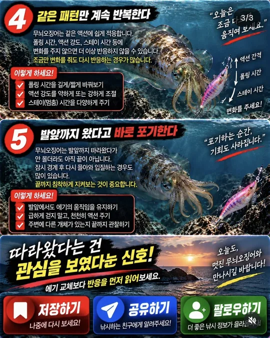 무늬오징어가 따라왔을 때 하지 말 것 4~5 카드뉴스 그림