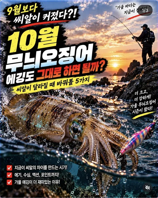 10월 무늬오징어, 씨알이 달라질 때 카드뉴스 그림