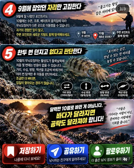 9월과 10월 무늬오징어 공략 차이 카드뉴스 그림