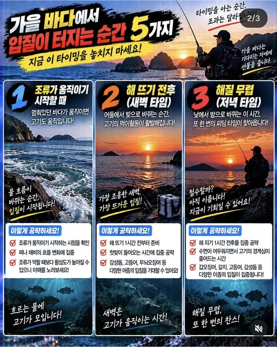 가을 바다에서 입질이 붙는 순간 1~3 카드뉴스 그림