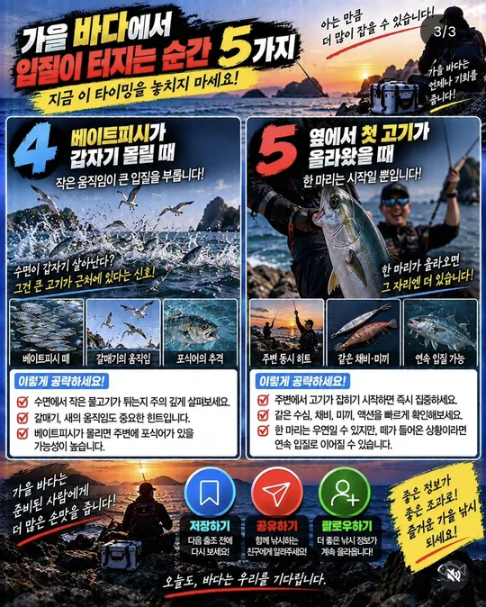 가을 바다에서 입질이 붙는 순간 4~5 카드뉴스 그림