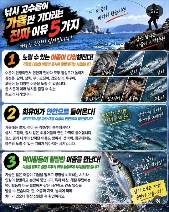 낚시인이 가을을 기다리는 이유 1~3 카드뉴스 그림