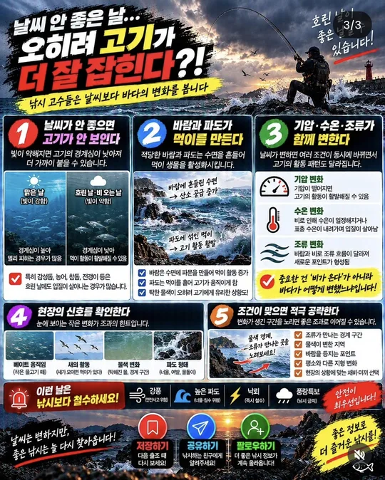 날씨 안 좋은 날 고기가 움직이는 이유 4~5 카드뉴스 그림