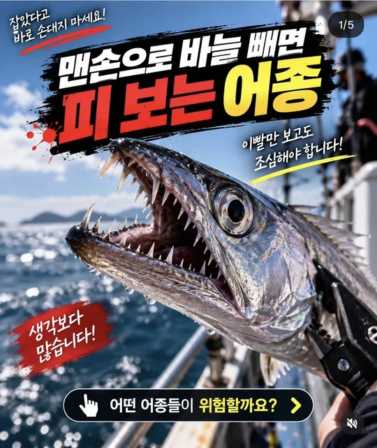 맨손으로 바늘 빼면 다치는 어종 카드뉴스 그림