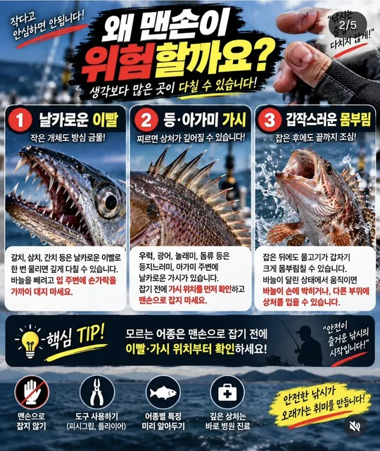 맨손이 위험한 이유 카드뉴스 그림
