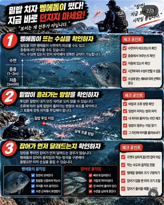 밑밥에 뜬 벵에돔, 먼저 볼 것 1~3 카드뉴스 그림