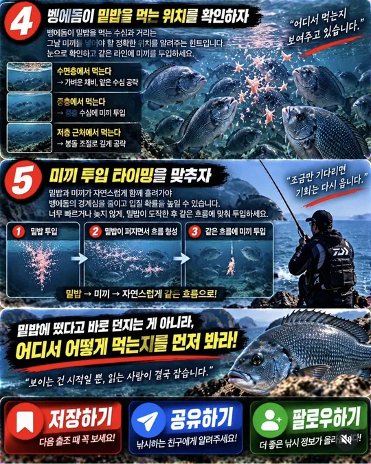 밑밥에 뜬 벵에돔, 먼저 볼 것 4~5 카드뉴스 그림