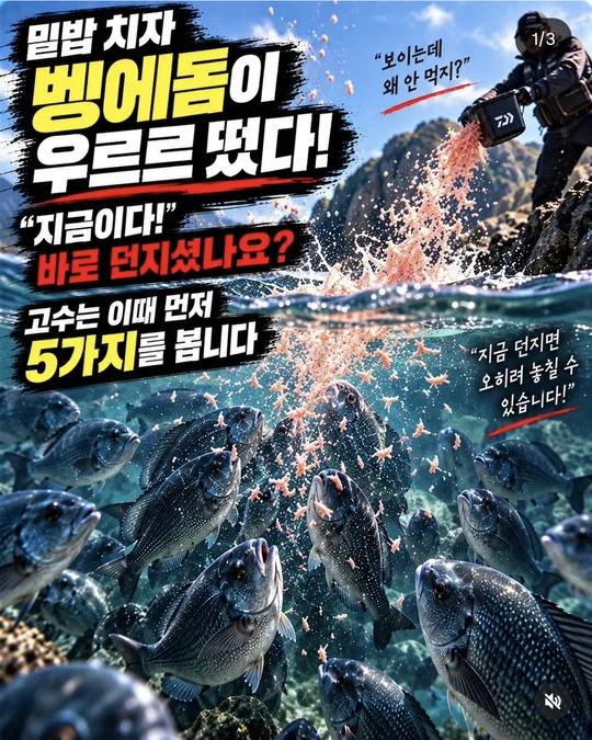 밑밥에 벵에돔이 떴을 때 카드뉴스 그림