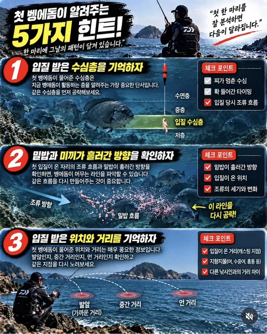 첫 벵에돔 힌트 1~3 카드뉴스 그림