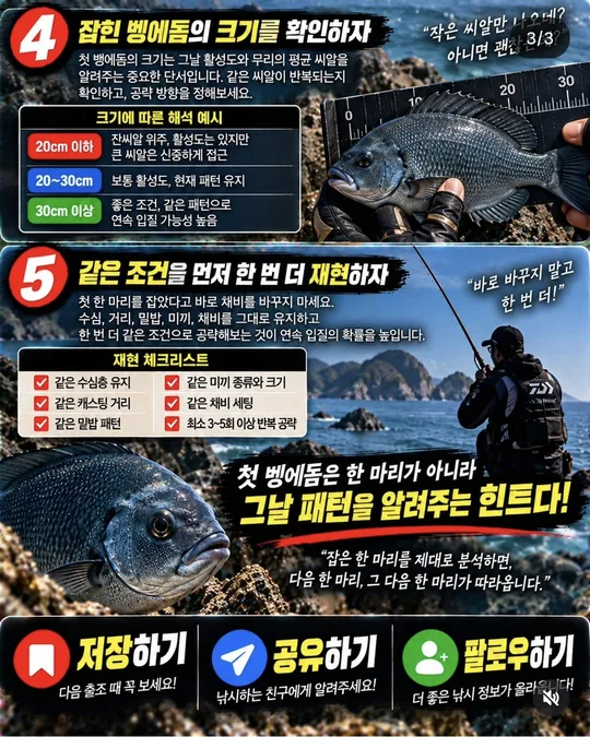 첫 벵에돔 힌트 4~5 카드뉴스 그림