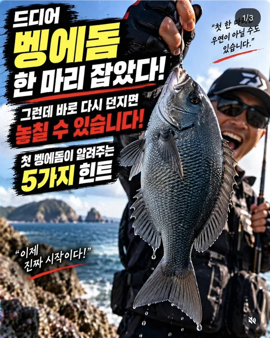 첫 벵에돔이 알려 주는 힌트 카드뉴스 그림