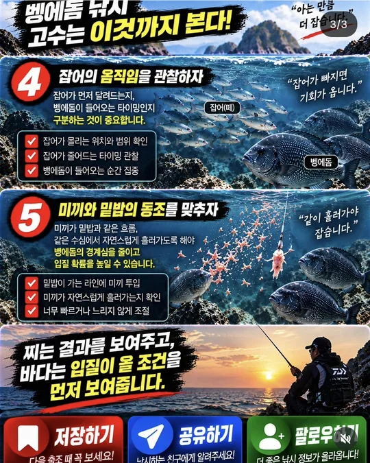 벵에돔 낚시, 찌보다 볼 것 4~5 카드뉴스 그림