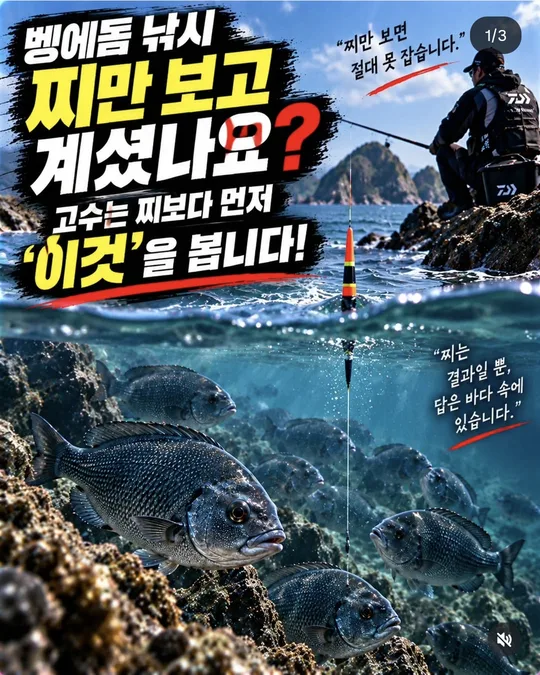 찌보다 바다를 먼저 본다 카드뉴스 그림