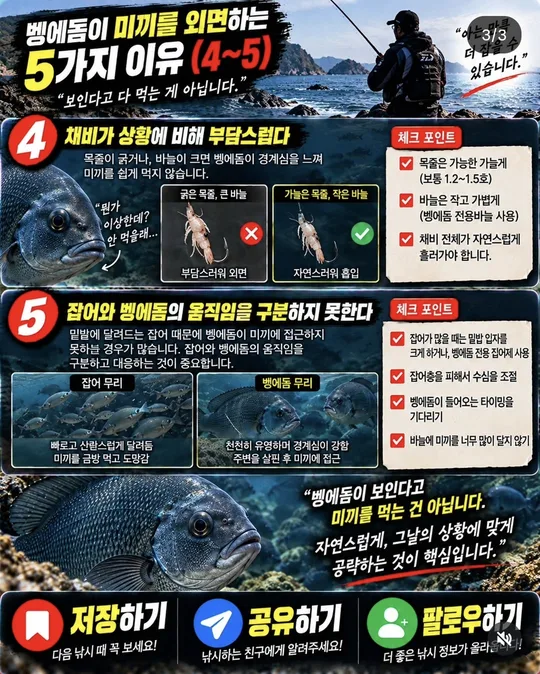 벵에돔이 미끼를 외면하는 이유 4~5 카드뉴스 그림