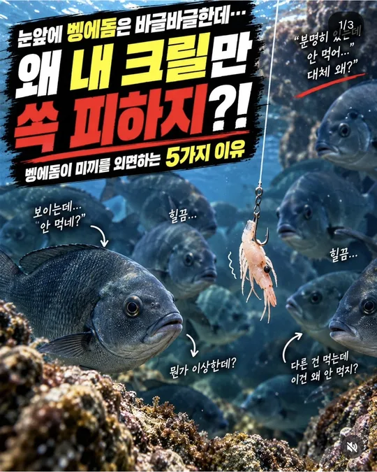 왜 내 크릴만 피할까 카드뉴스 그림
