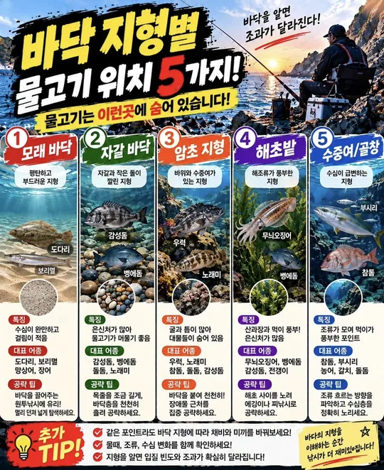 바닥 지형별 물고기 위치 카드뉴스 그림