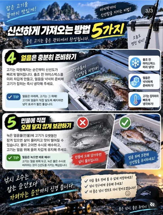 잡은 고기를 신선하게 가져오는 방법 카드뉴스 그림