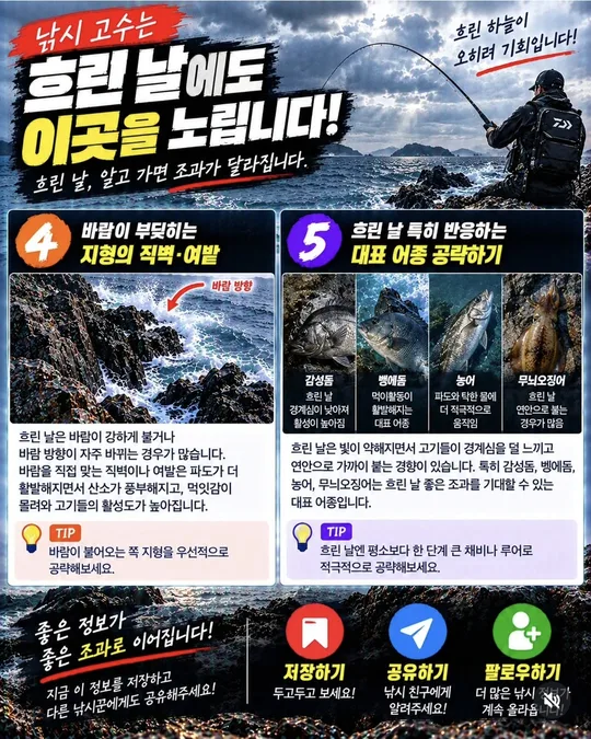 흐린 날 먼저 볼 곳 4~5 카드뉴스 그림