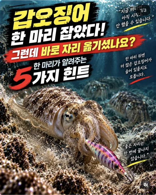 갑오징어 한 마리 잡은 자리 카드뉴스 그림