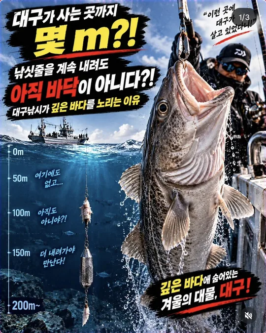 대구는 얼마나 깊은 곳에 살까 카드뉴스 그림