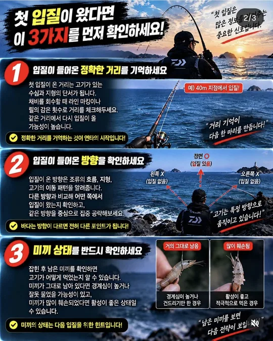 첫 입질이 왔다면 먼저 확인할 3가지 카드뉴스 그림