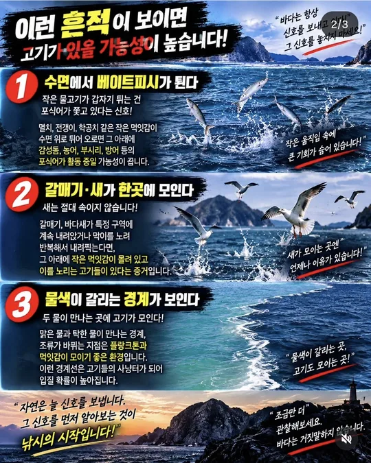 고기가 있다는 흔적 1~3 카드뉴스 그림