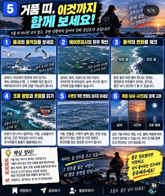 거품 띠와 함께 볼 것 카드뉴스 그림