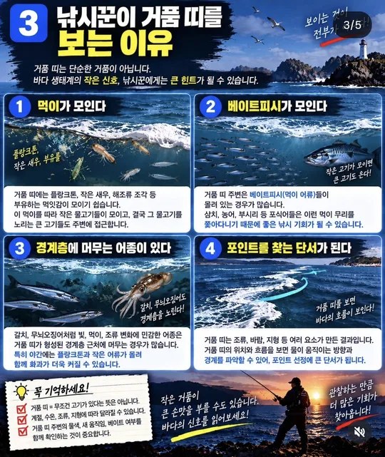 낚시꾼이 거품 띠를 보는 이유 카드뉴스 그림