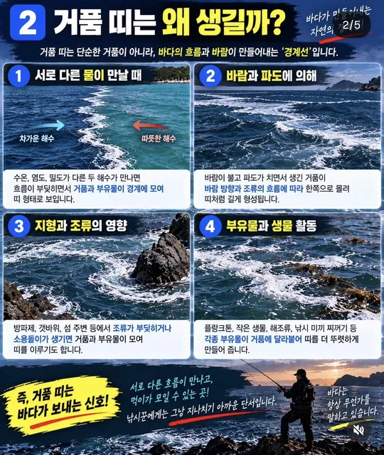 거품 띠는 왜 생길까 카드뉴스 그림