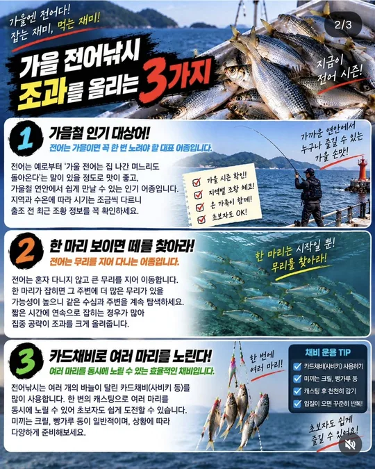 가을 전어낚시 조과 올리기 1~3 카드뉴스 그림