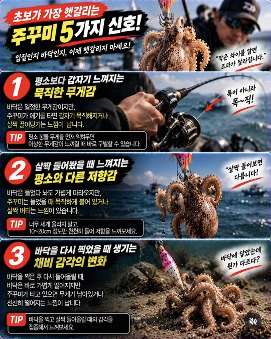 바닥인가 주꾸미인가 1~3 카드뉴스 그림