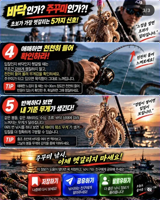 바닥인가 주꾸미인가 4~5 카드뉴스 그림
