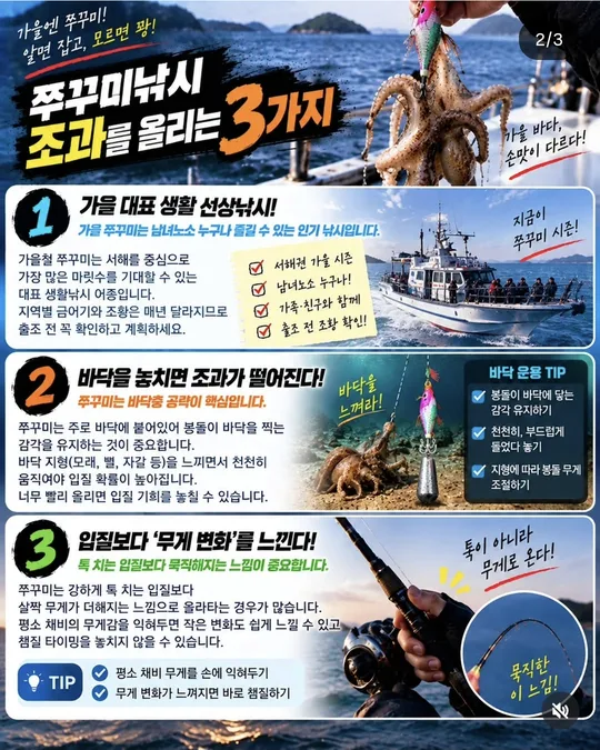 주꾸미 조과를 올리는 방법 1~3 카드뉴스 그림