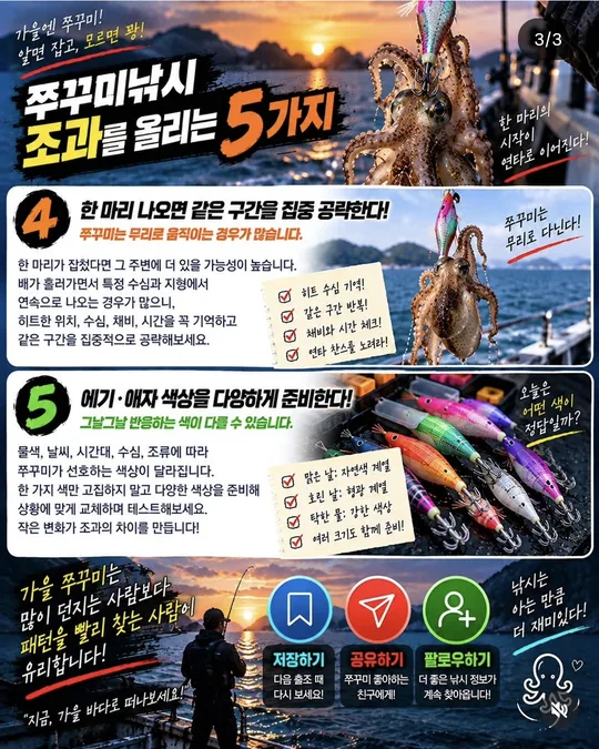 주꾸미 조과를 올리는 방법 4~5 카드뉴스 그림