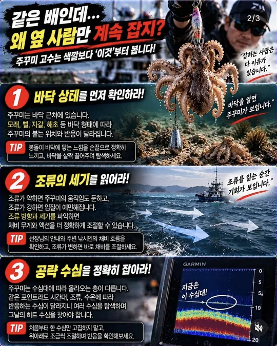 주꾸미, 색깔보다 먼저 볼 것 1~3 카드뉴스 그림