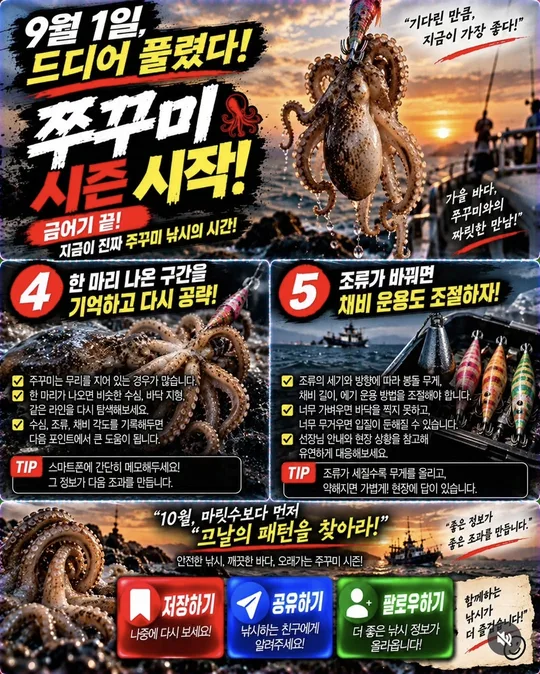주꾸미 첫 출조 준비 4~5 카드뉴스 그림
