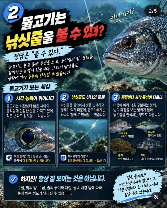 물고기가 보는 세상 카드뉴스 그림