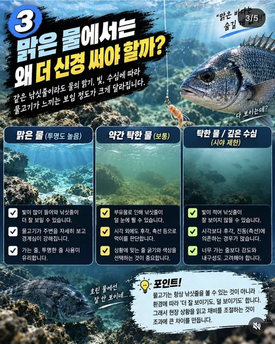 맑은 물에서 더 신경 쓸 것 카드뉴스 그림