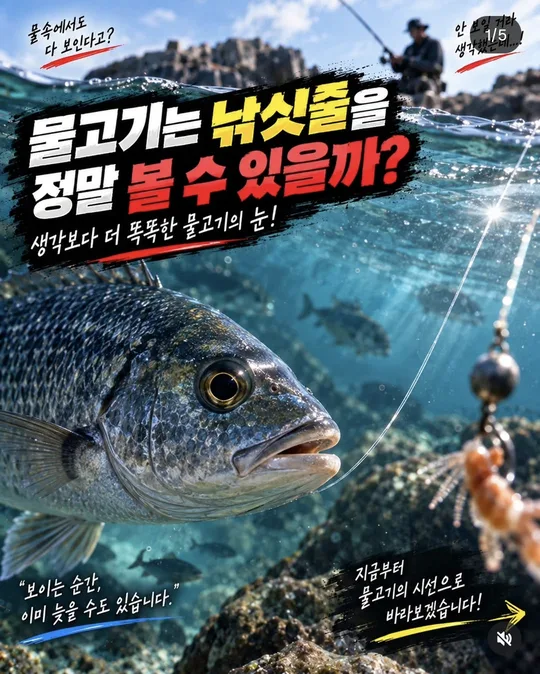 물고기는 낚싯줄을 볼 수 있을까 카드뉴스 그림