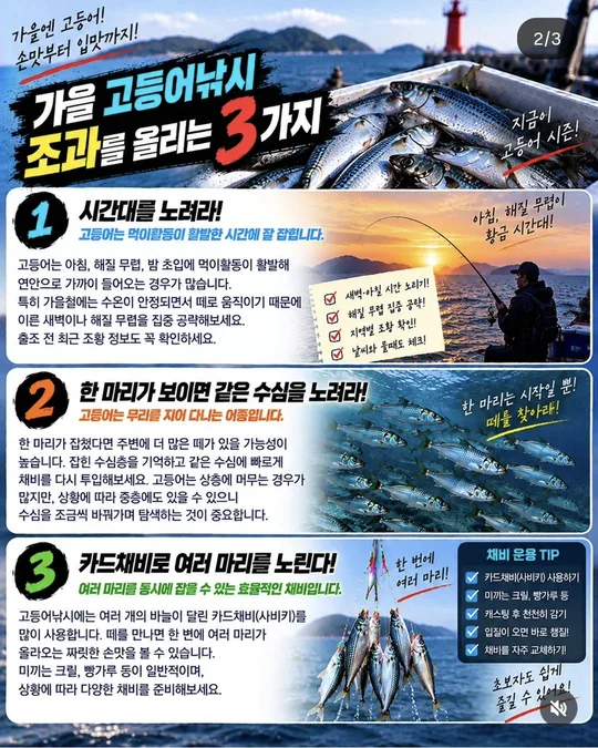 가을 고등어낚시 조과 올리기 1~3 카드뉴스 그림