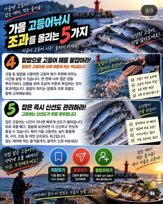 가을 고등어낚시 조과 올리기 4~5 카드뉴스 그림