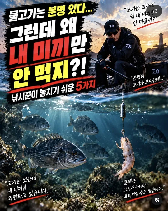 왜 내 미끼만 안 먹을까 카드뉴스 그림