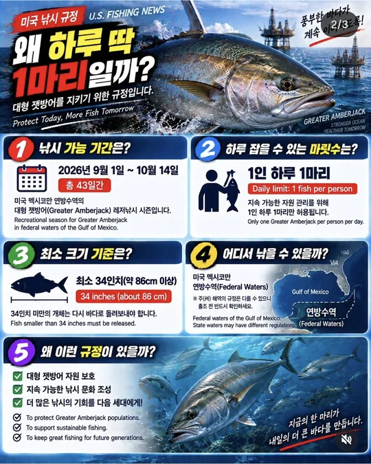 앰버잭은 왜 하루 1마리일까 카드뉴스 그림