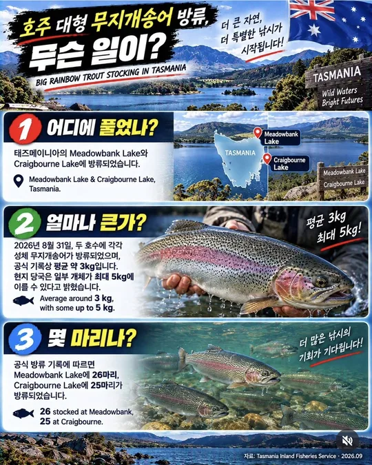 무지개송어를 어디에 얼마나 풀었나 카드뉴스 그림