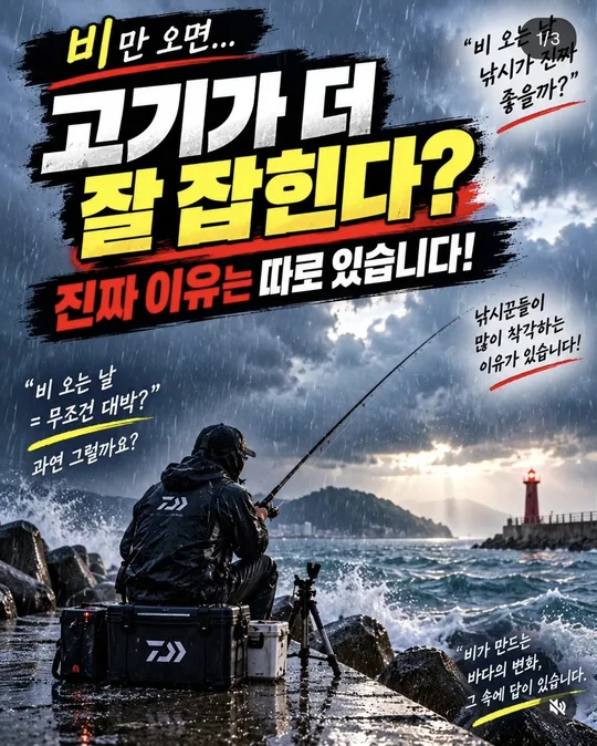 비만 오면 고기가 더 잘 잡힐까 카드뉴스 그림