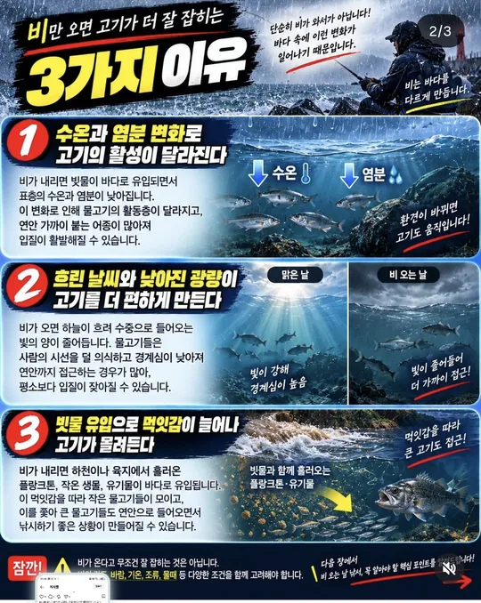 비 오면 고기가 잘 잡히는 3가지 이유 카드뉴스 그림