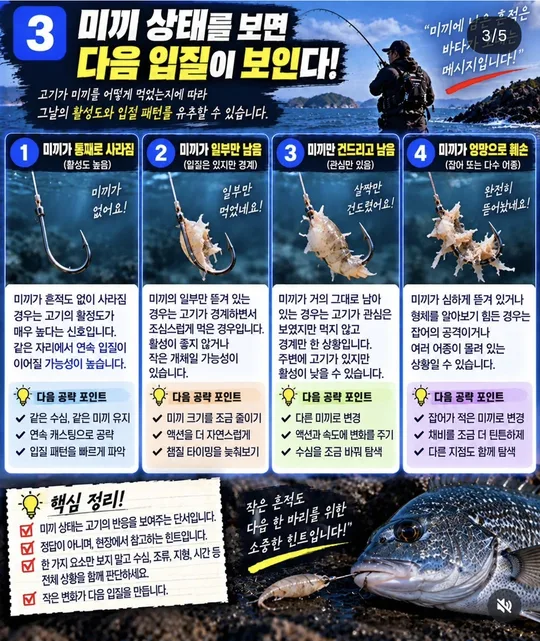 미끼 상태로 보는 다음 입질 카드뉴스 그림
