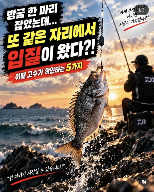 같은 자리에서 또 입질이 왔다면 카드뉴스 그림